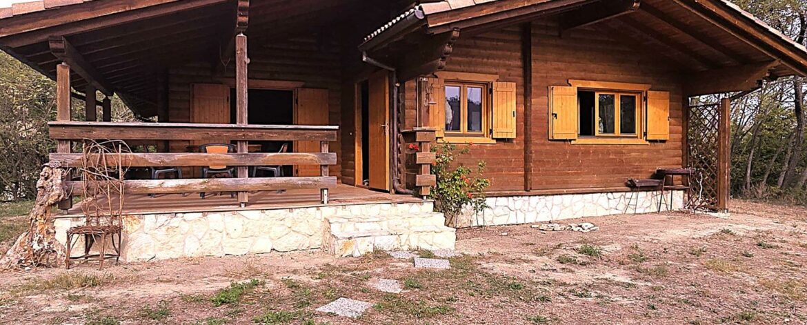 Foto3