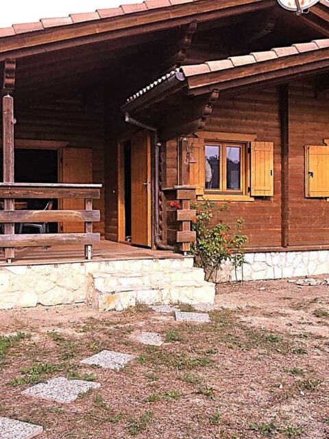 Foto3