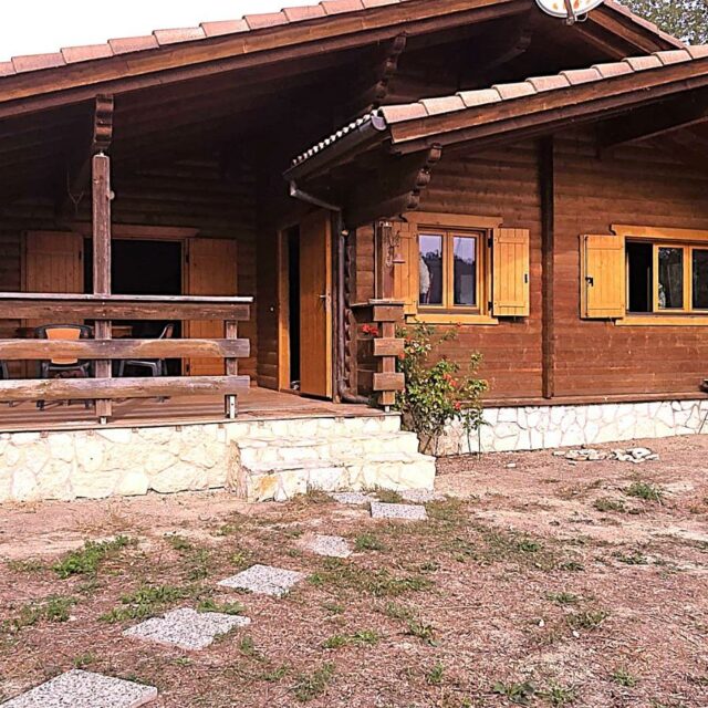 Foto3